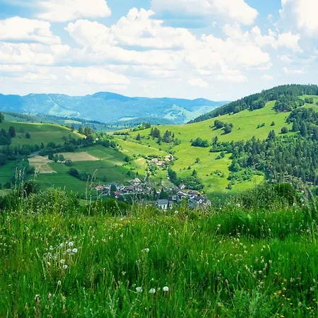 Charmante Neuenweg Gams Ferienhaus Kleines Wiesental